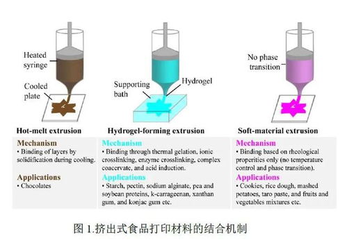 李斌教授團(tuán)隊(duì) 開拓植物性材料在3D食品打印技術(shù)中的創(chuàng)新應(yīng)用